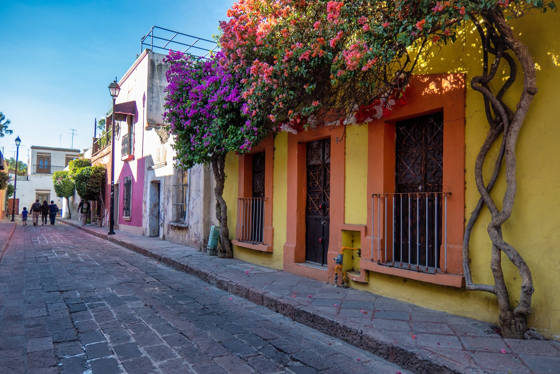 Rustic street with windows and bougainvillea flowers in Queretaro, Mexico